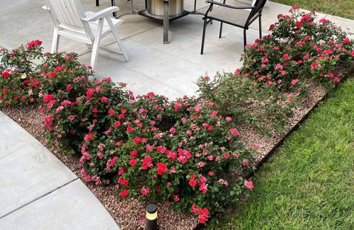 Georgetown Casa | Cozy Fun Upscale 6 beds