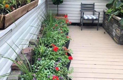 North Center Apartamento | Cozy Garden Unit Located in North Center