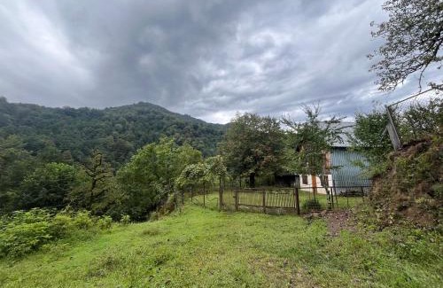 Khulo Casa | Cozy Guesthouse in Qvabgha, 5 min from Nabeghlavi
