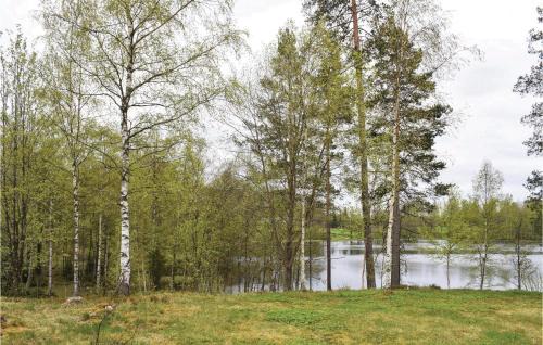 Bodafors Casa | Cozy Home In Bodafors With Kitchen