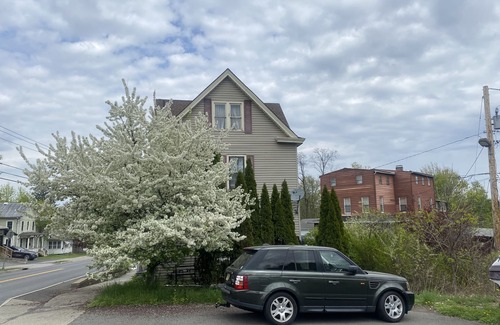 Catskill Apartamento | Cozy Home in Catskill Village!