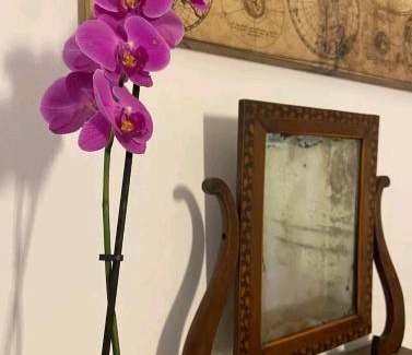 Vanchiglia Apartamento | Cozy home in the city centre