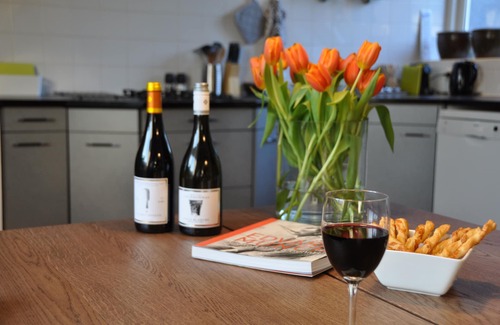 Harlingen Casa | Cozy House in Harlingen city center for pleasure and work