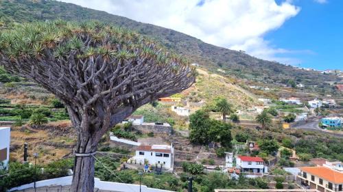 El Guincho Apartamento | Cozy Izan Drago Apartment in Icod de los Vinos