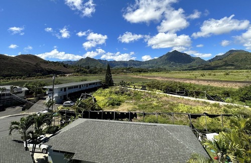 Coconut Grove Condominio | Cozy Kailua condo all to yourself, Only a 5 minute walk to Kailua Town 7/30