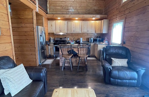 Dandridge Cabina | Cozy LAKE cabin. Near Douglas Lake in East TN! Sleeps 5! Hot Tub. Fireplace.