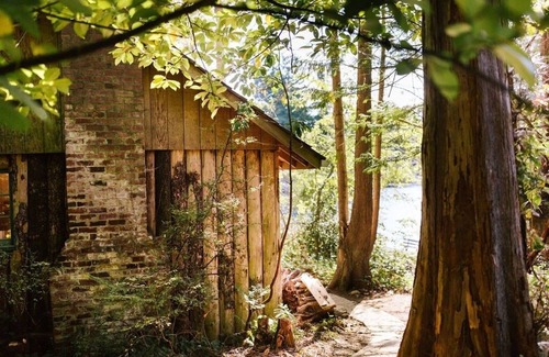 Maple Valley Cabina | Cozy lakeside cabin! Rustic retreat w/ private dock- Pet Friendly!