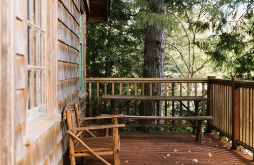 Maple Valley Cabina | Cozy lakeside cabin! Rustic retreat w/ private dock- Pet Friendly!