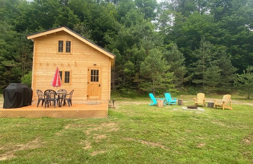 Weslemkoon Cabina | Cozy Loft Pine Cabin with Lake and Crown Land Access | Pond Views | Dog-Friendly