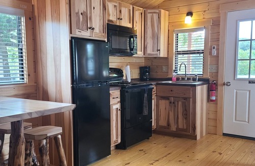 White Cabina | Cozy Log Cabin #7. Minutes from Seven Springs and Hidden Valley!