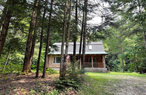 West Halifax Casa | Cozy Log Cabin - Dog Friendly