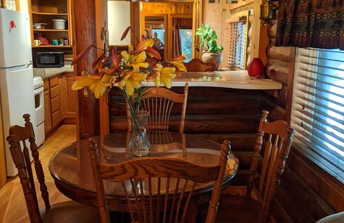 Monroe Cabina | Cozy Log Cabin in peaceful wooded surroundings