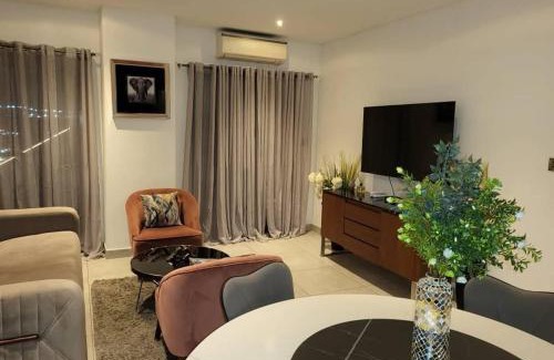Accra Apartamento | Cozy & Luxurious East Legon Apt with gym, pool & rooftop