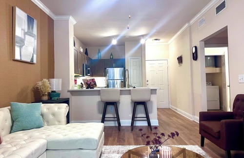Houston Apartamento | Cozy Modern 1BD Med Center NRG Galleria Downtown.