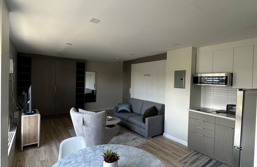 Golden Triangle Apartamento | Cozy Modern Centretown Ottawa Studio Near U of O, Restaurants, and Amenities