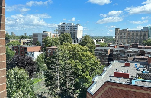 Golden Triangle Apartamento | Cozy Modern Centretown Ottawa Studio Near U of O, Restaurants, and Amenities