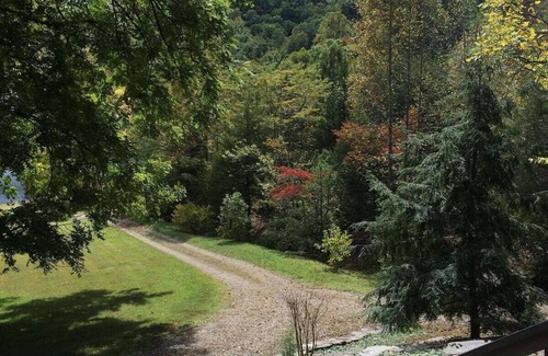 Franklin Cabina | Cozy mountain cabin with hiking trails, tranquil pond and private waterfall!