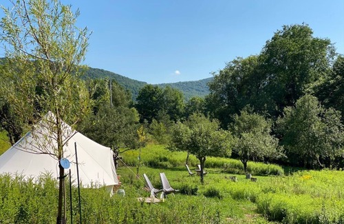 Denver Cabina | Cozy Off-grid Cabins in beautiful Denver, NY, Catskills with WiFi - Sleeps 4