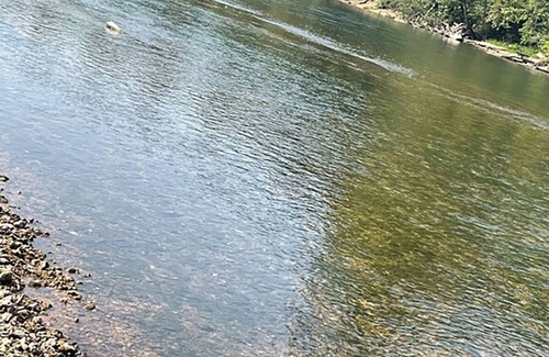 Van Buren Alquiler De RV | Cozy on Current River