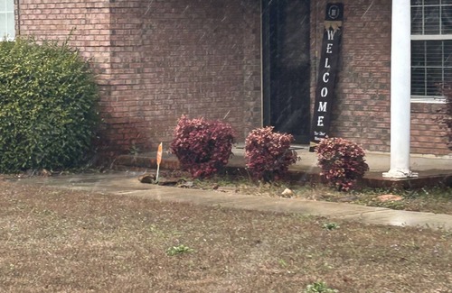 Fort Valley Casa | Cozy one bed room in a nice neighborhood.