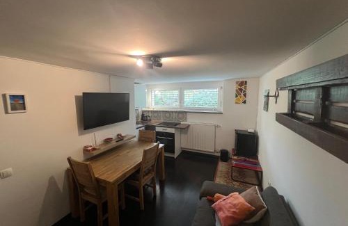 Maribor Apartamento | Cozy Pet Friendly Apartment Freshly Renovated