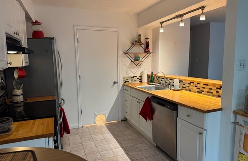 Austin Condominio | Cozy Pet-Friendly Condo in South Austin