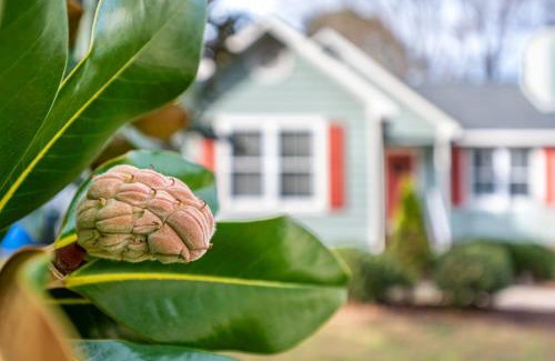 Raleigh Casa | Cozy Pet friendly home-Raleigh