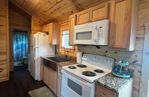 Steinhatchee Cabina | Cozy pet friendly 2-bedroom cabin in Steinhatchee, FL