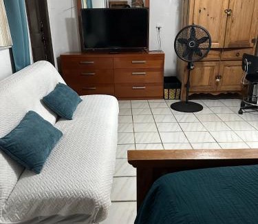 Tamiami Apartamento | Cozy Queen Bed Studio with 60 Inch Smart TV, Netflix, AirPlay, Mini-Fridge, and 500 Mbps WiFi near FIU, Dolphin Mall, Airport