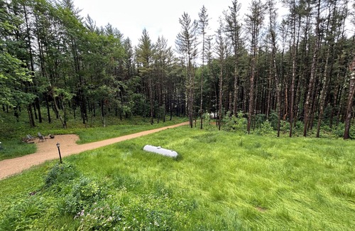 Ontario Casa | Cozy, quiet Cabin near Kickapoo River & Wildcat Mountain. Perfect for fisherman.