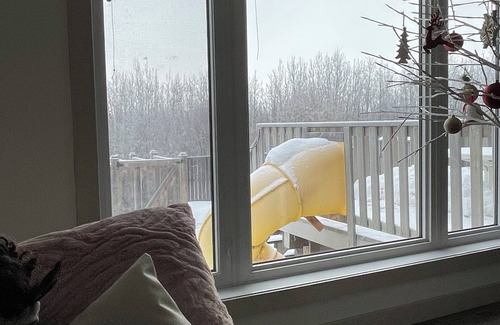 Sylvan Lake Casa | Cozy quiet home located in a lake town