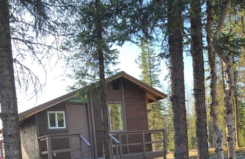 Houston Cabina | Cozy quiet One Bedroom Cabin with short walk to Little Susitna River in Houston.