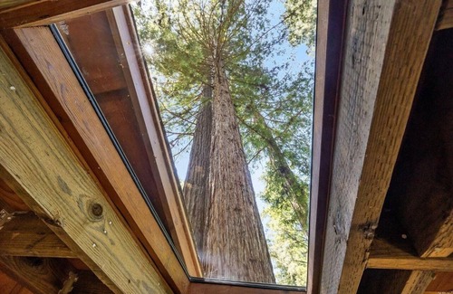 Monte Rio Casa | Cozy redwood getaway, pet-friendly, walk to town