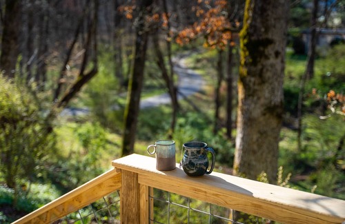 Brevard Casa | Cozy Relaxing Escape w/ Fire Pit - Dog Friendly - 7 minutes to Downtown Brevard