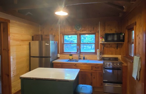 Baldwin Cabina | Cozy renovated vintage cabin near lake Cecilia