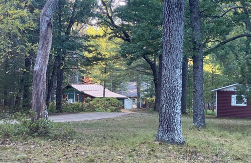 Baldwin Cabina | Cozy renovated vintage cabin near lake Cecilia