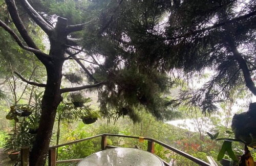 Santa Tecla Cabina | Cozy rustic cabin nature sorrounded10 m to the city and 5 mn to Boqueron volcano