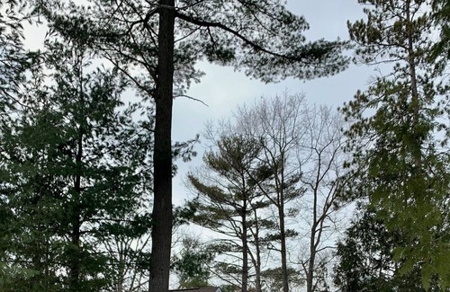 Lambton Shores Cabaña | Cozy secluded cottage near the Pinery