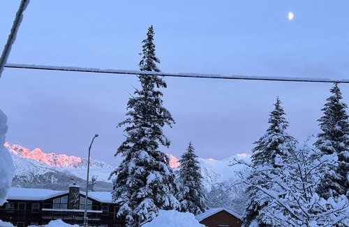 Seward Cabaña | Cozy Seward Cottage: Amazing Location in the middle of town. Pet-Friendly!
