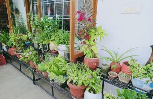 Deoghat Apartamento | Cozy Solan Apartment with Stunning Views