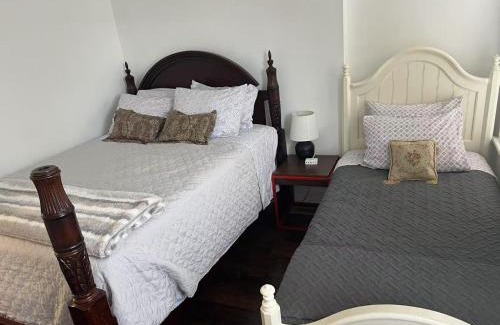 Richmond Casa | Cozy spacious family home near Carytown fully fenced