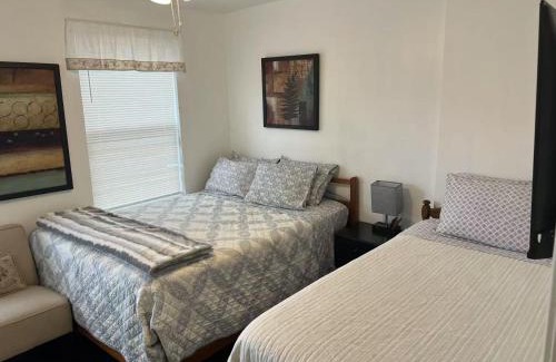 Richmond Casa | Cozy spacious family home near Carytown fully fenced