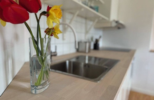 Animskog Apartamento | Cozy studio in an old school by the lake for 2 people with full kitchen