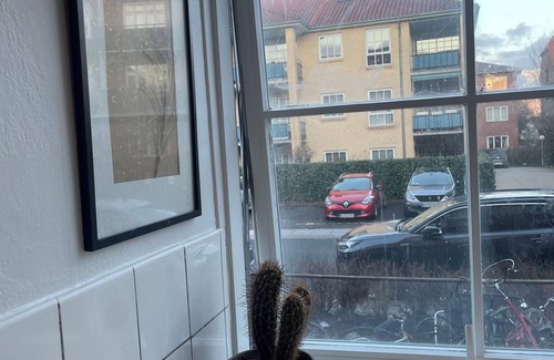 Charlottenlund Apartamento | Cozy studio apartment close to public transportation
