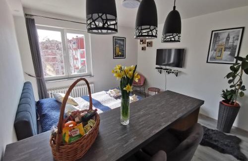 Doboj Apartamento | Cozy studio Cik-Cak
