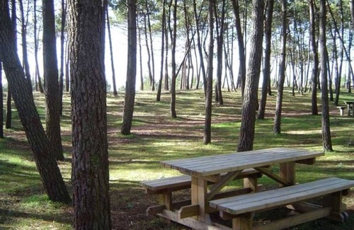 LʼAiguillon-sur-Mer Apartamento | Acogedor estudio nuevo cerca de la playa y el puerto, ideal para 2 personas