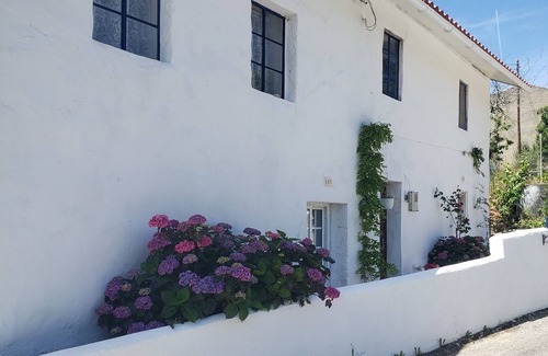 Macao Apartamento | Cozy studio in the mountains of Central Portugal! Vegan and pet friendly!
