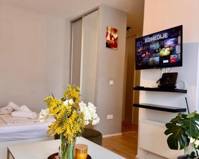 Lapad Apartamento | Cozy studio with sunny terrace