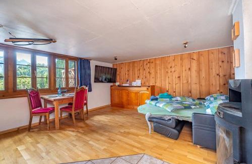 Reichenbach Casa | Cozy Studio With Terrace Bbq Mountain View