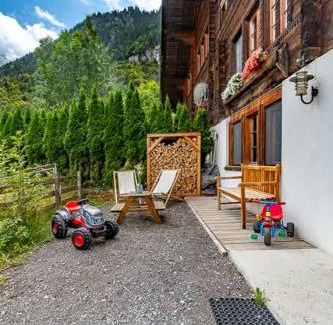 Reichenbach Casa | Cozy Studio With Terrace Bbq Mountain View